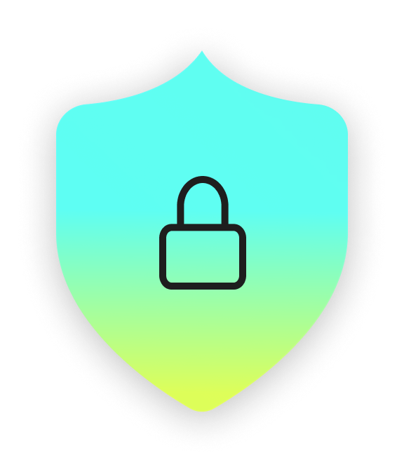 Privacy shield